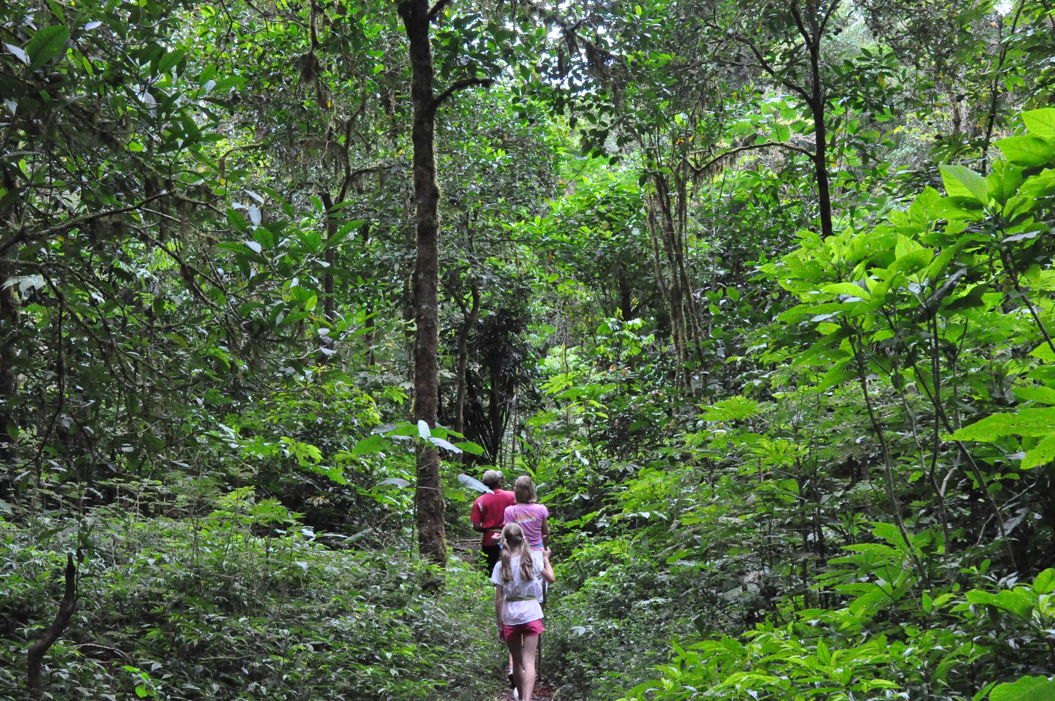 Trekking the national park - things to do in phu quoc